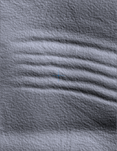 1509_H20-item1_editor-backdrop-BEFORE_seed42.png 1509_H20-item1_editor-backdrop-BEFORE_seed42.png