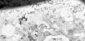 seatB/grey_extract/gr_02.jpg