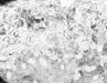 seatB/grey_extract/gr_06.jpg