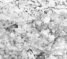 seatB/grey_extract/gr_12.jpg