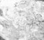 seatB/grey_extract/gr_13.jpg