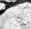 seatB/grey_extract/gr_14.jpg