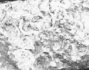 seatB/grey_extract/gr_15.jpg