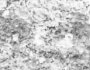 seatB/grey_extract/gr_17.jpg