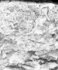 seatB/grey_extract/gr_18.jpg