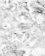 seatB/grey_extract/gr_23.jpg