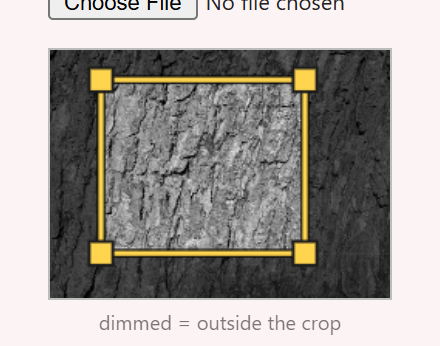 seatD/cropstyle/after_desktop_Bark.png