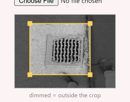 seatD/cropstyle/before_desktop_Drain_Grate.png