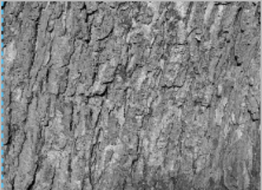 seatD/photodim/after_x_squeeze.png seatD/photodim/after_x_squeeze.png