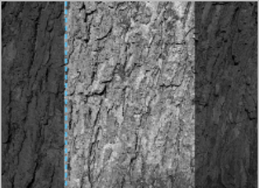 seatD/photodim/after_x_whole.png seatD/photodim/after_x_whole.png