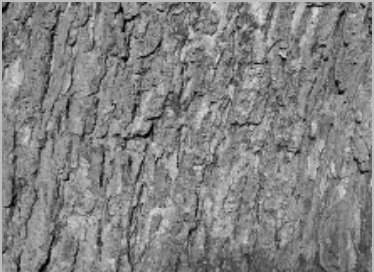 seatD/photodim/before_none.png seatD/photodim/before_none.png